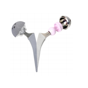 Total Hip Joint Replacement Hip Prosthesis Cementless stem