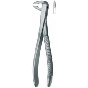 002-006-002 Extracting Forcep - Lower Incisors & Cuspids